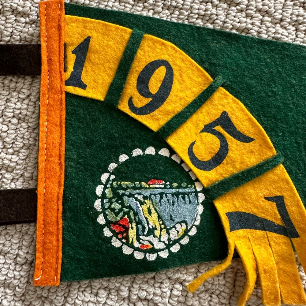 Vintage Niagara Falls Pendant